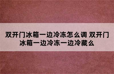 双开门冰箱一边冷冻怎么调 双开门冰箱一边冷冻一边冷藏么